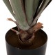 ΔΙΑΚΟΣΜΗΤΙΚΟ ΣΥΝΘΕΤΙΚΟ ΦΥΤΟ HM7985 SISAL AGAVE ΣΕ ΓΛΑΣΤΡΑ  Φ13,5x13-76Υεκ.