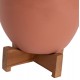 ΓΛΑΣΤΡΕΣ ΣΕΤ 2ΤΜΧ SEON HM4686.08 TERRACOTTA ΣΕ ΛΕΥΚΟ & ΤΕΡΑΚΟΤΑ--TEAK ΒΑΣΗ
