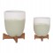 ΓΛΑΣΤΡΕΣ ΣΕΤ 2ΤΜΧ SEON HM4686.09 TERRACOTTA ΣΕ ΛΕΥΚΟ & ΠΡΑΣΙΝΟ--TEAK ΒΑΣΗ